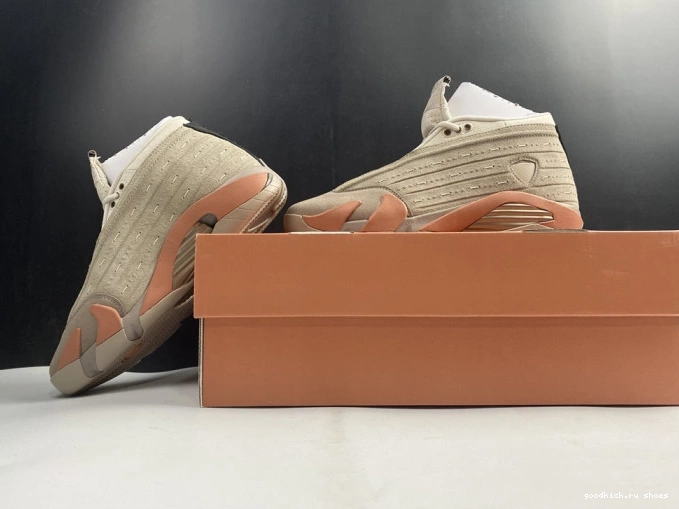Terra Blush 14 DC9857-200 AIR Retro Jordan Clot Low 0714